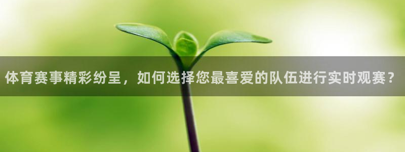 五星体育节目表今天：体育赛事精彩纷呈，如何选择您最喜爱的队伍进行实时观赛？