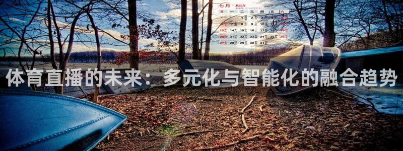 上海五星体育在线直播免费观看：体育直播的未来：多元化与智能化的融合趋势