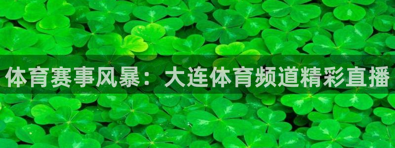 上海五星体育直播间：体育赛事风暴：大连体育频道精彩直播