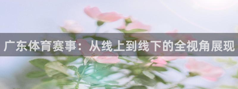 上海五星体育电视频道直播：广东体育赛事：从线上到线下的全视角展现