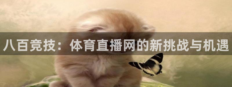 2024f1卡塔尔大奖赛五星体育：八百竞技：体育直播网的新挑战与机遇