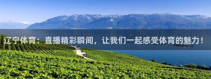 庄夏妍 五星体育：辽宁体育：直播精彩瞬间，让我们一起感受体育的魅力！