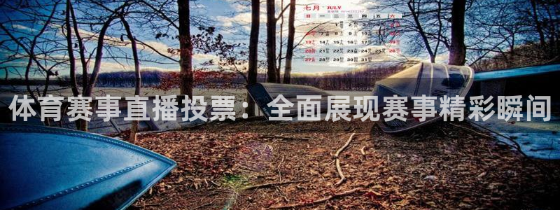 上海五星体育频道回看：体育赛事直播投票：全面展现赛事精彩瞬间