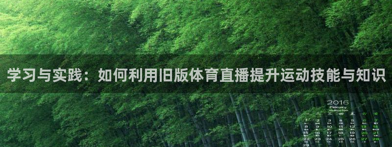 上海五星体育电视频道直播：学习与实践：如何利用旧版体育直播提升运动技能与知识