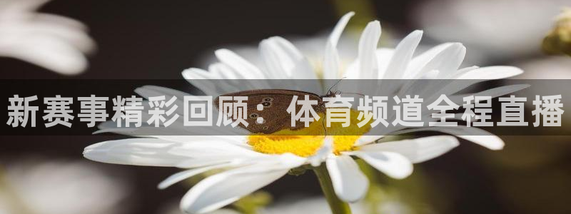 五星体育 电视盒子：新赛事精彩回顾：体育频道全程直播